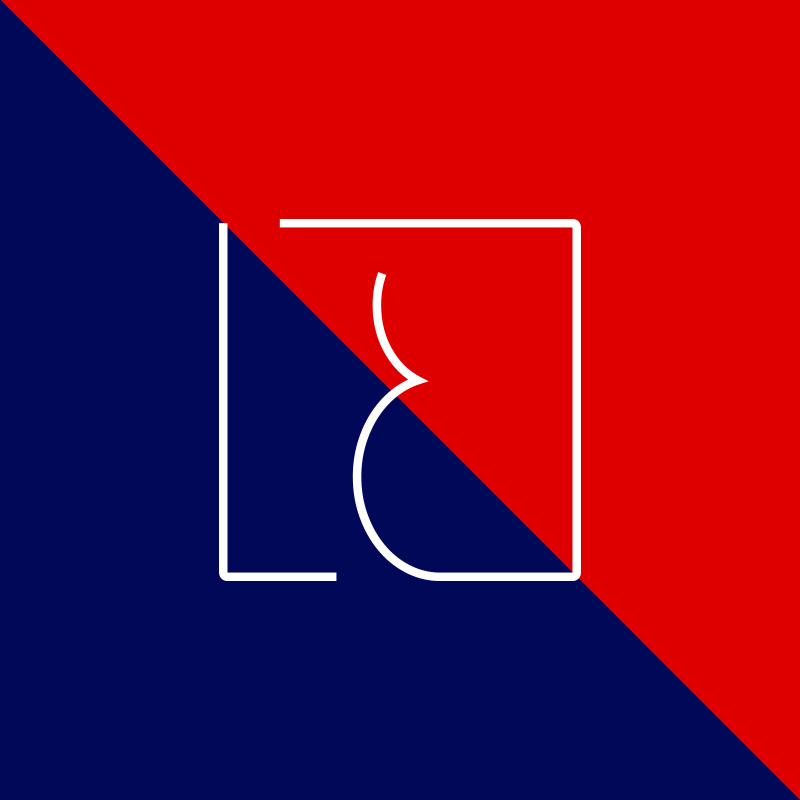 logo graphiste lyon bleu rouge